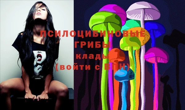 дурь Аркадак