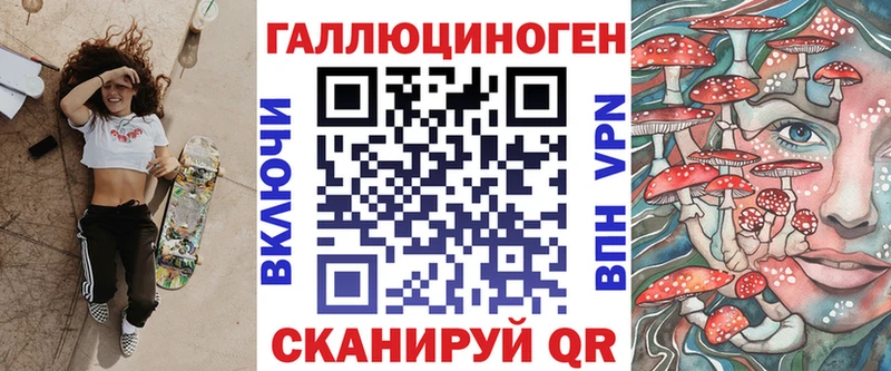 Купить где  Аргун  Псилоцибиновые грибы Psilocybe 
